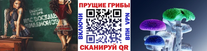 Галлюциногенные грибы мухоморы  Сковородино 
